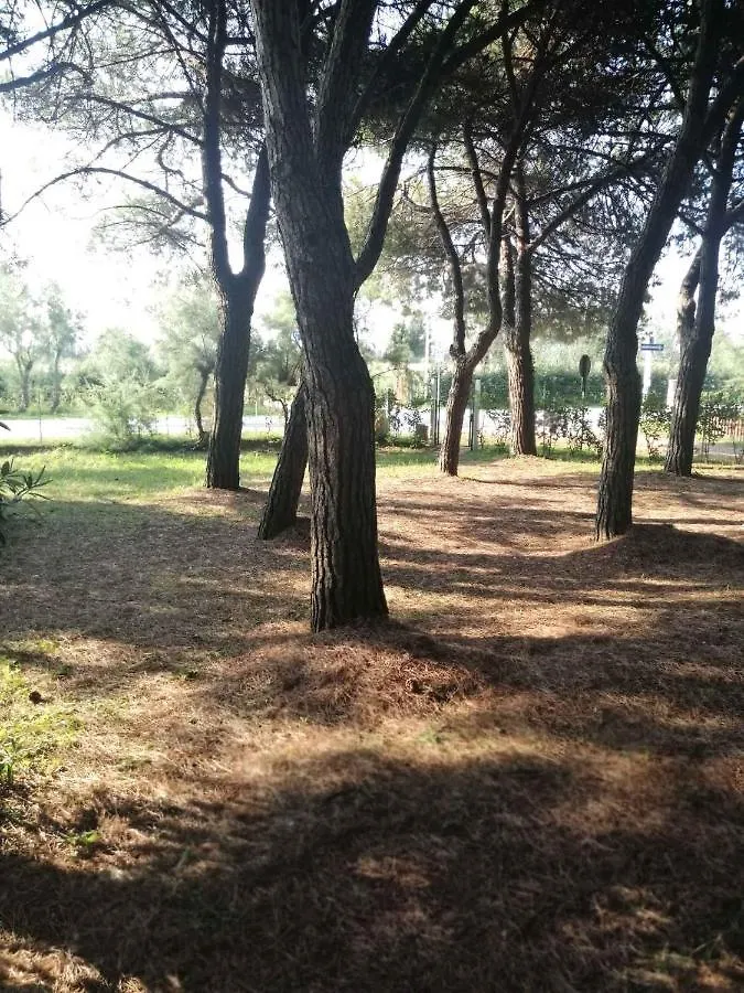 Holiday Home In Eraclea Mare 25698